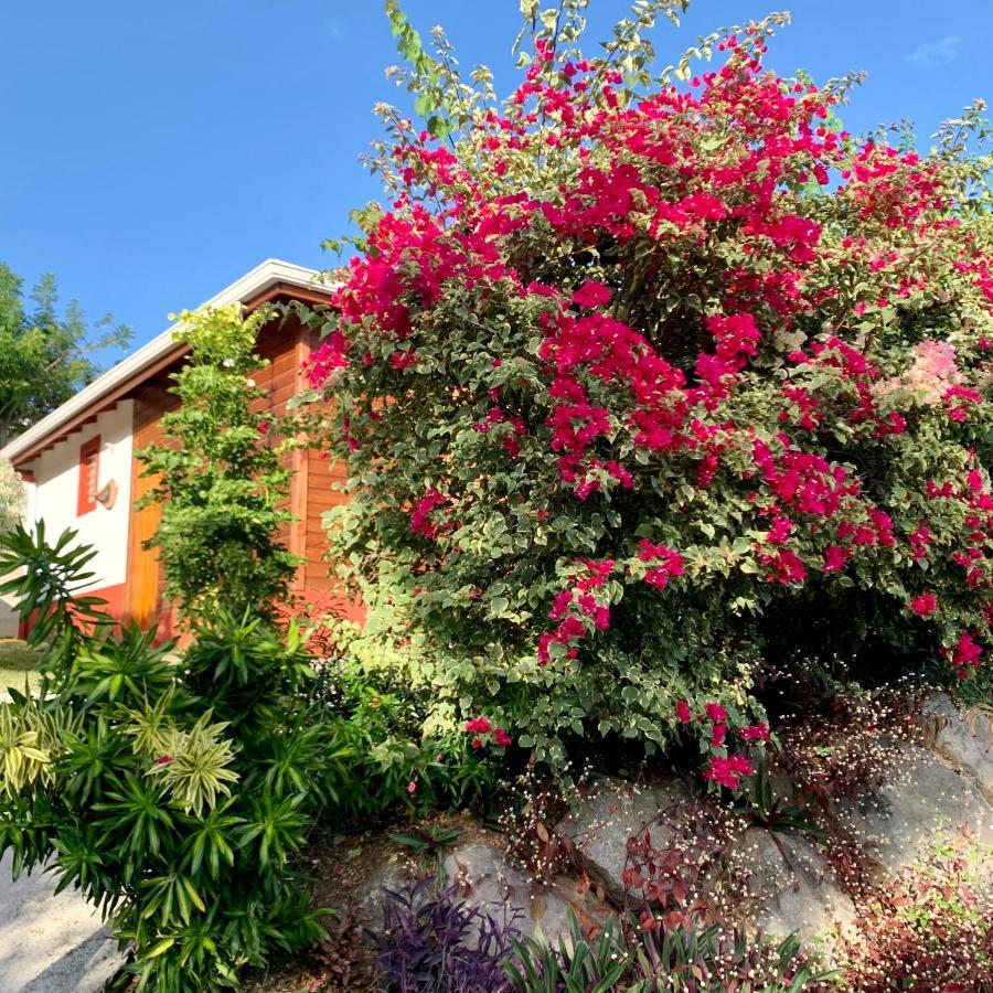 Kalypso - Les Villas Kikko Saint-Francois  Luaran gambar